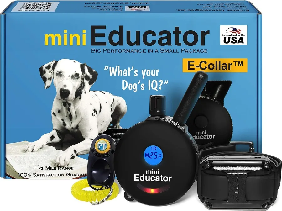Educator ET-300 Mini e-collar remote and receiver in the box