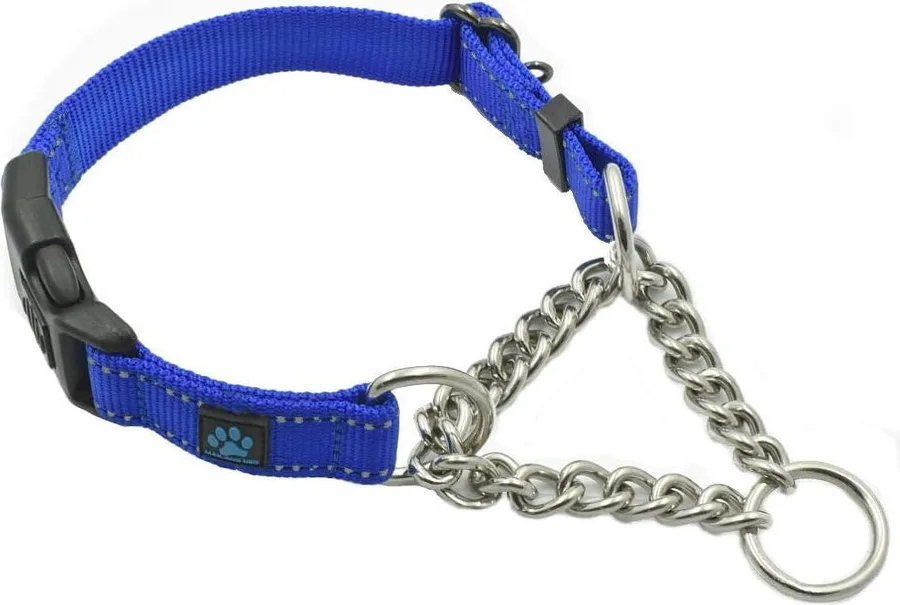 Blue nylon martingale collar with a short steel chain