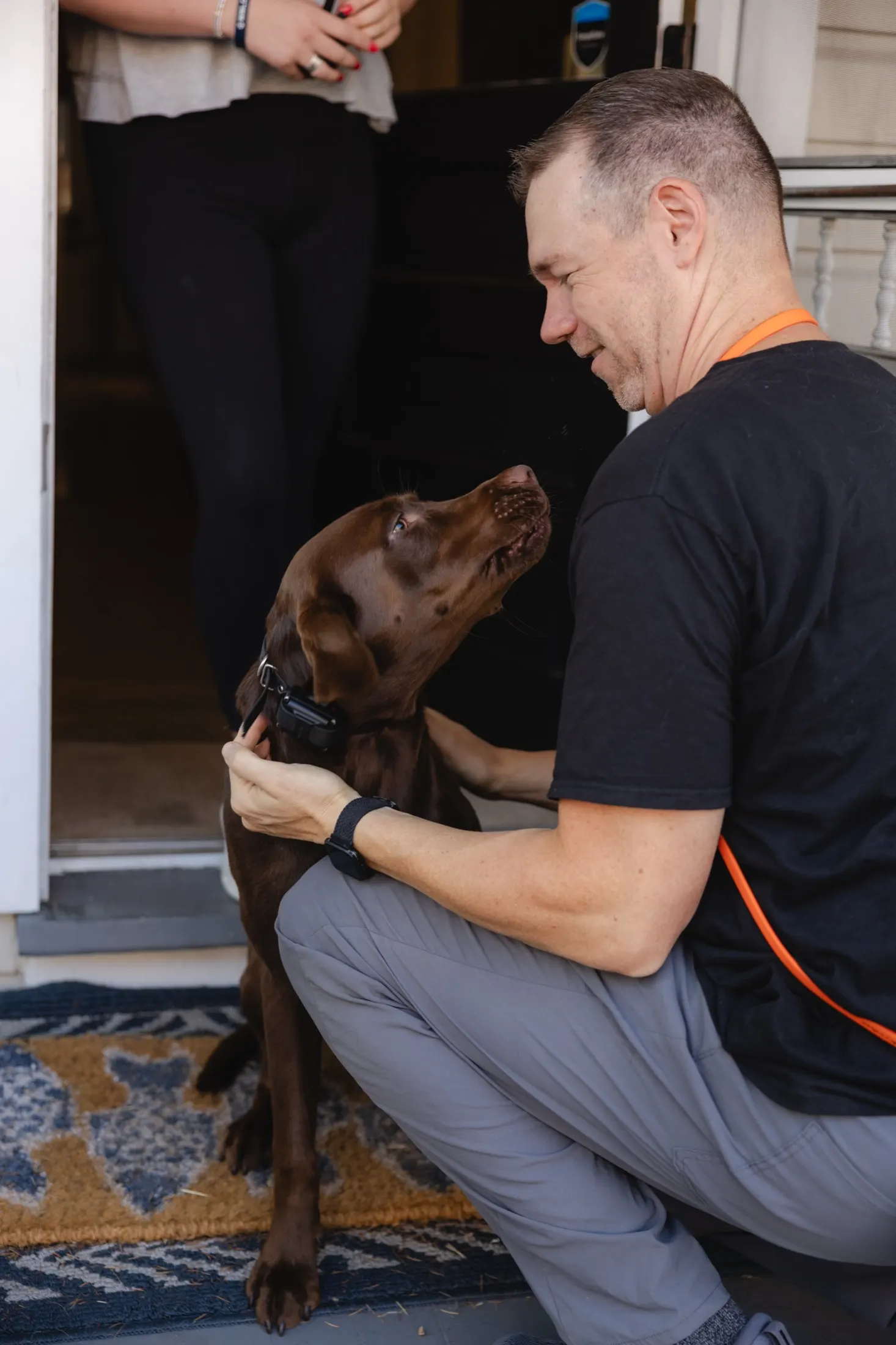 A chocolate lab learning place work in a quiet living room