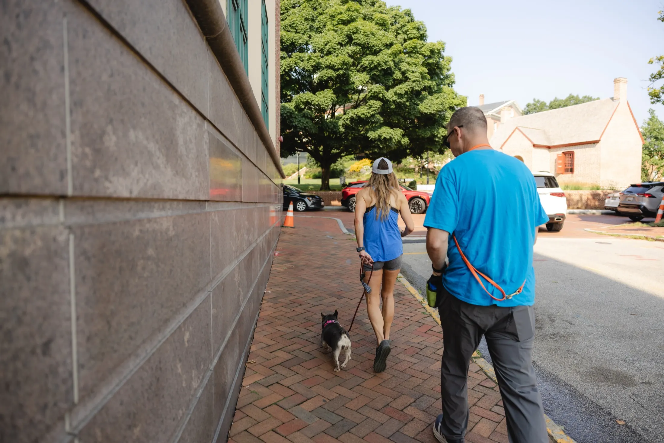 An owner and Zak walking a French bulldog along a downtown Annapolis sidewalk