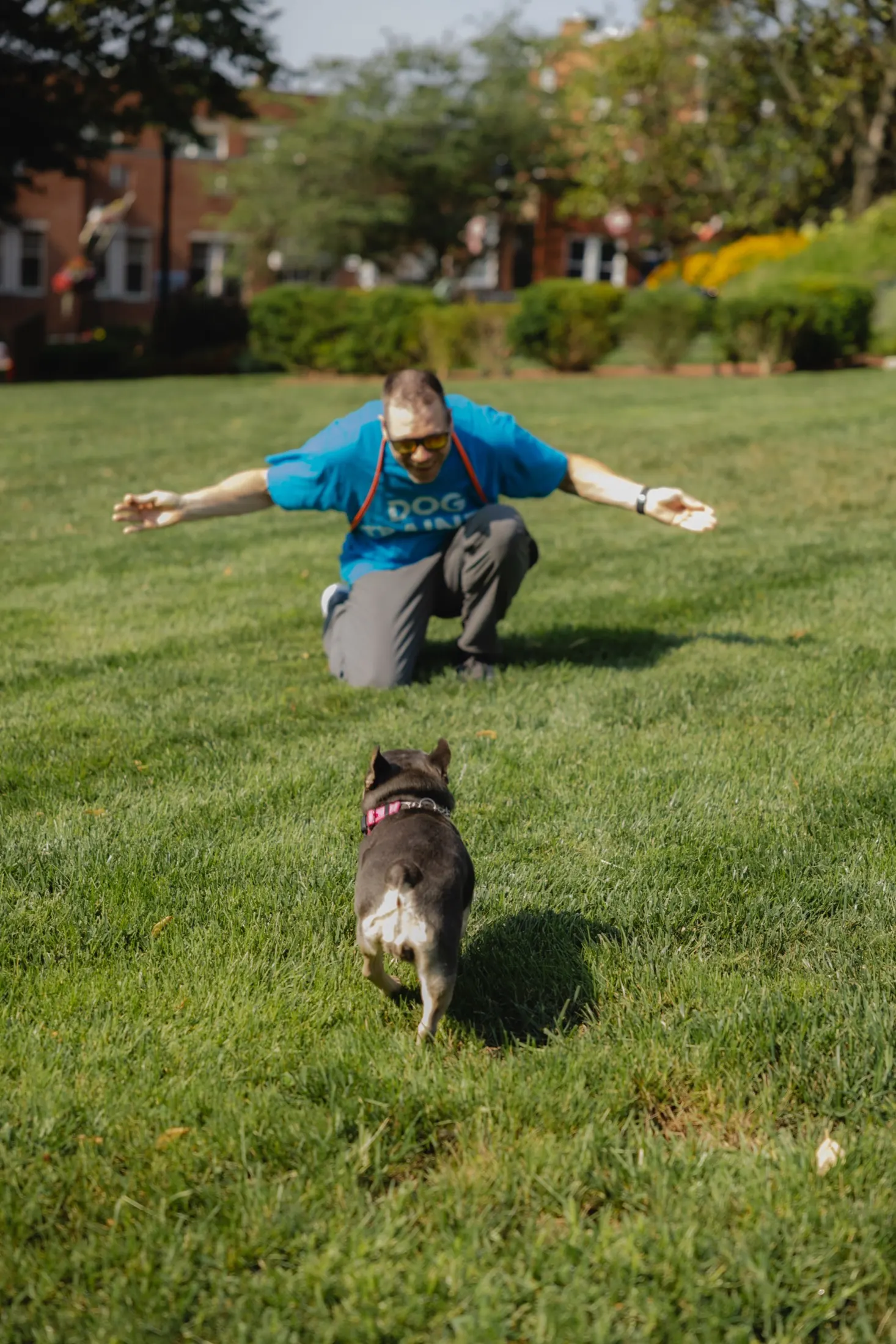 Recall across the lawn
