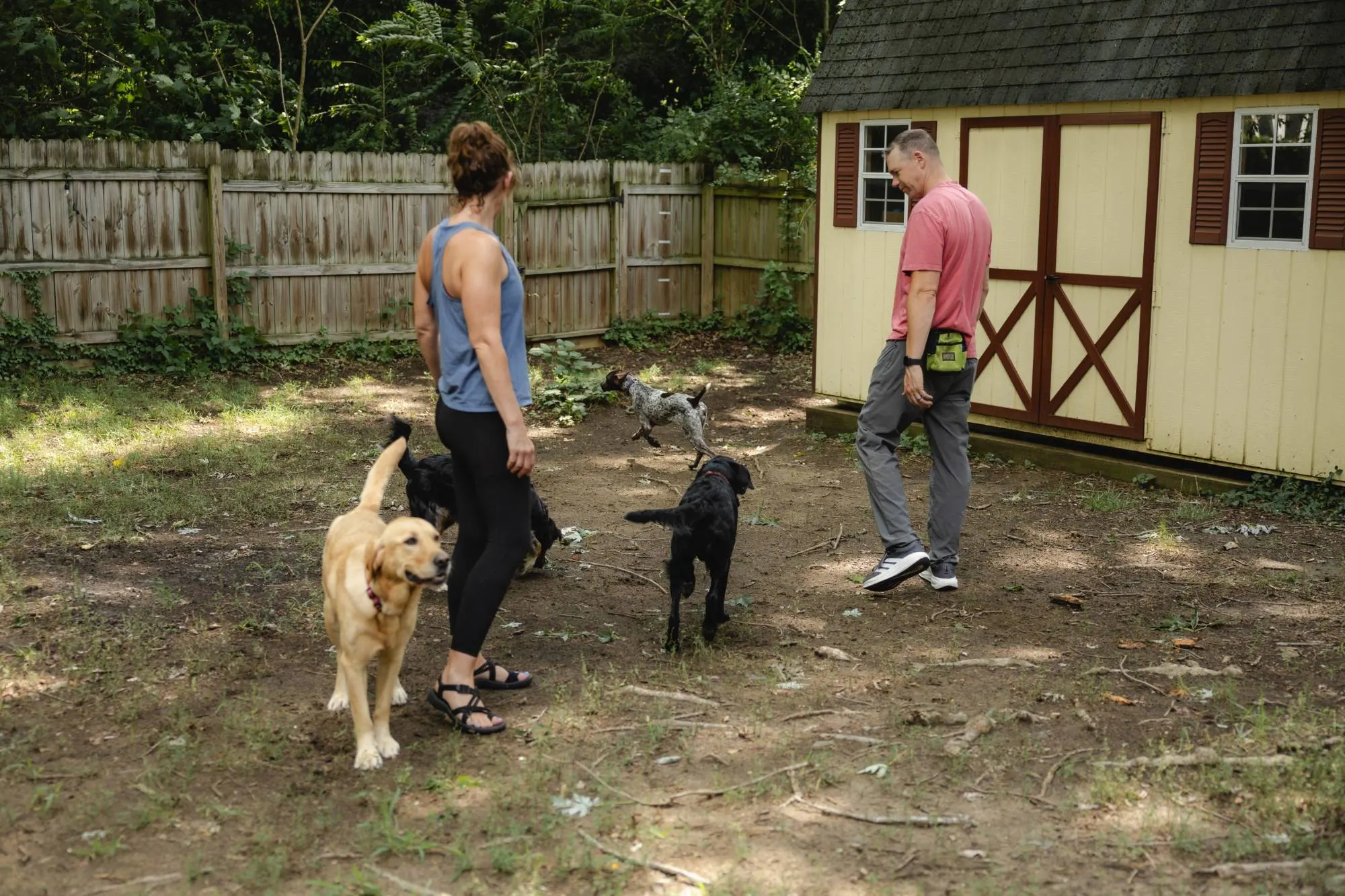 Zak and family in the backyard with four dogs off leash