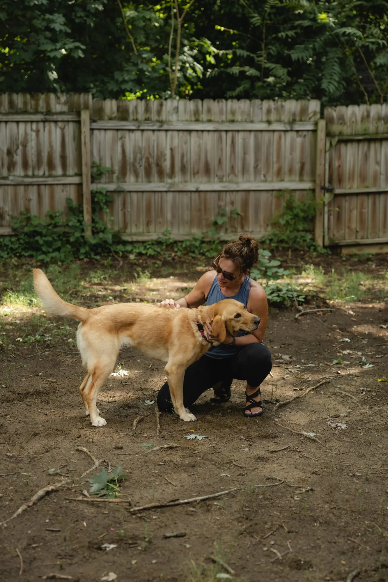 A yellow retriever leaning in for a scratch from one of the Kergel family in the backyard