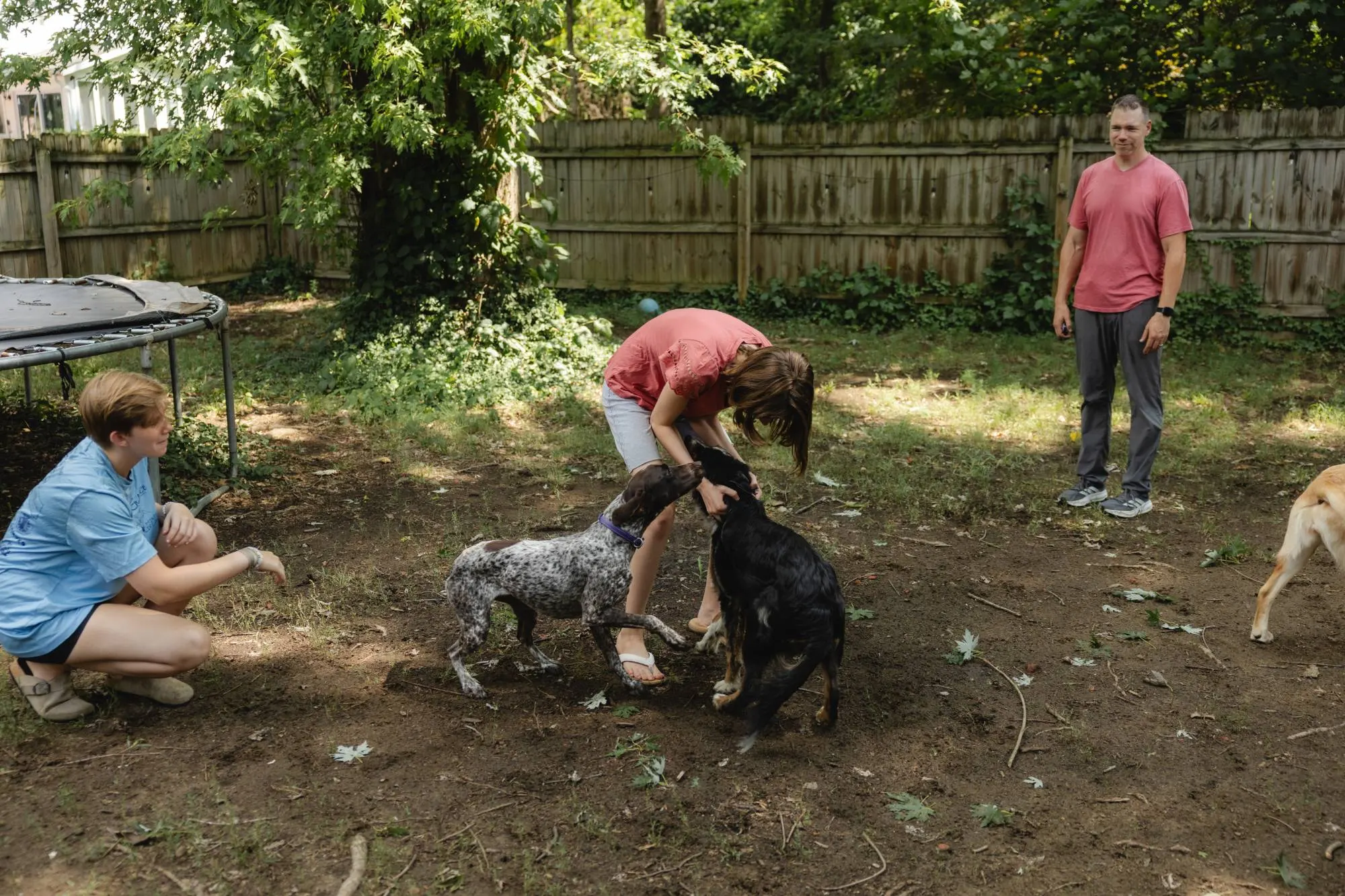 Two dogs greeting in the backyard while the family looks on